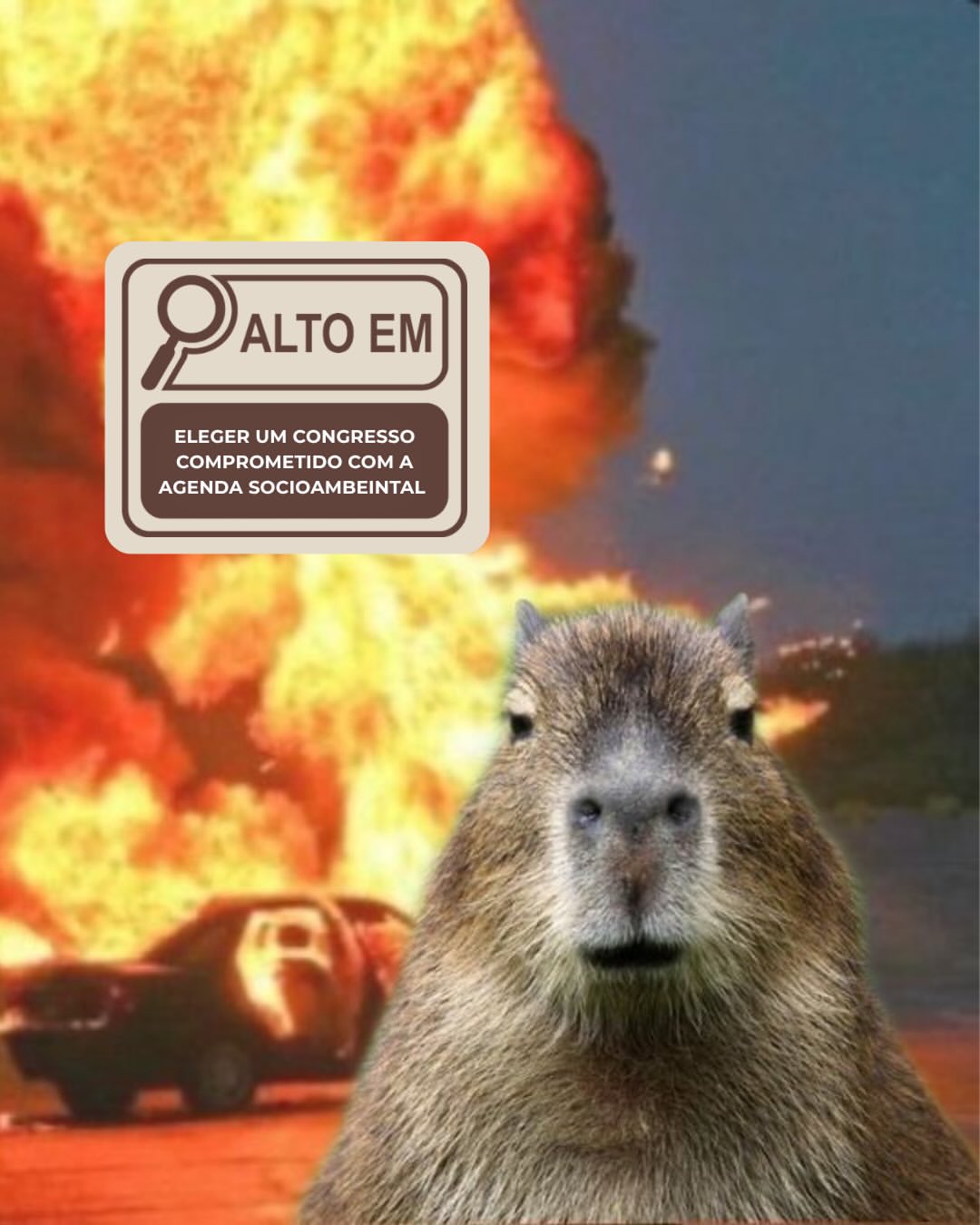 Campanha #VotePeloCerrado convoca eleitores ao debate das eleições de 2026