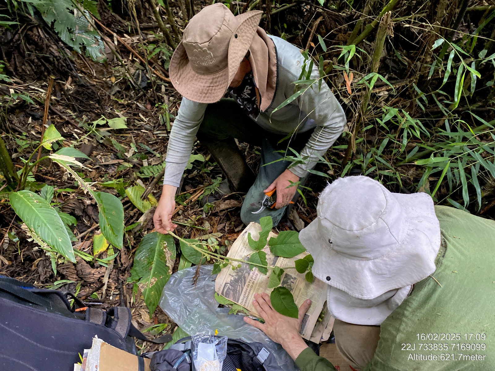 Catálogo reúne cerca de 1.300 espécies de plantas e amplia conhecimento sobre a flora do litoral do Paraná